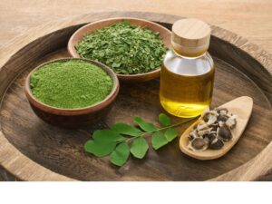 モリンガイメージ