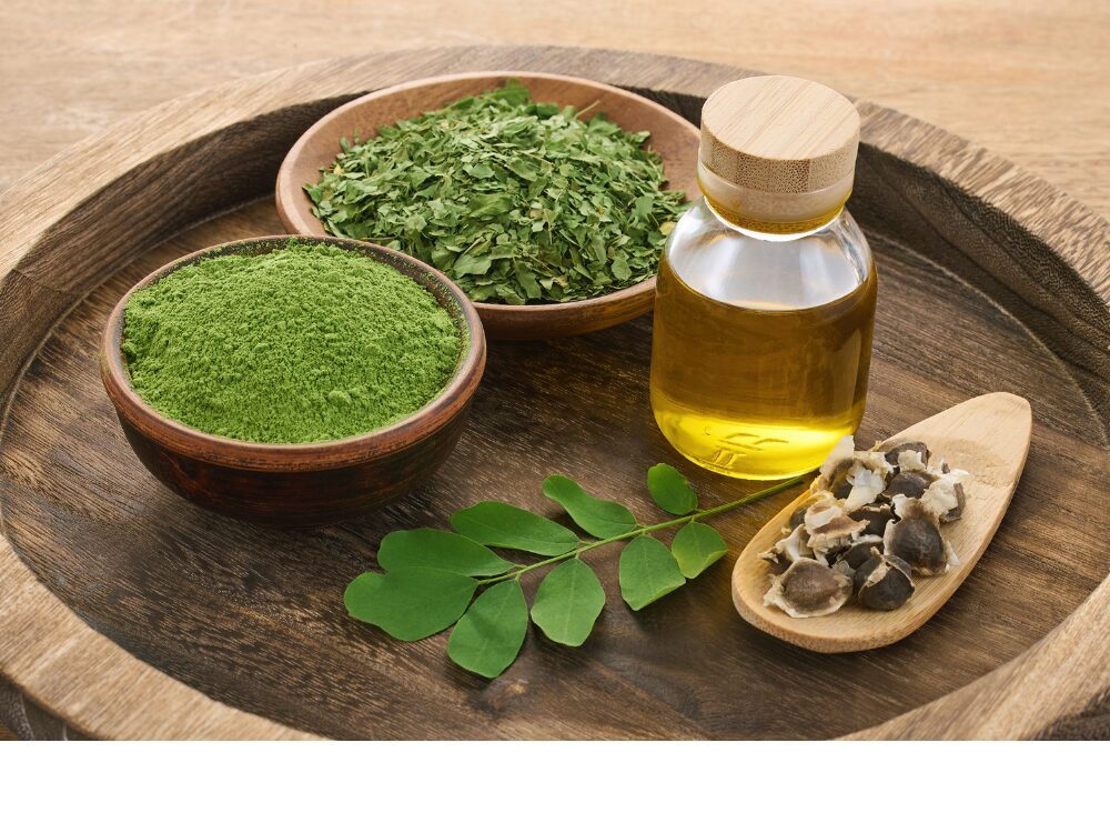 モリンガイメージ